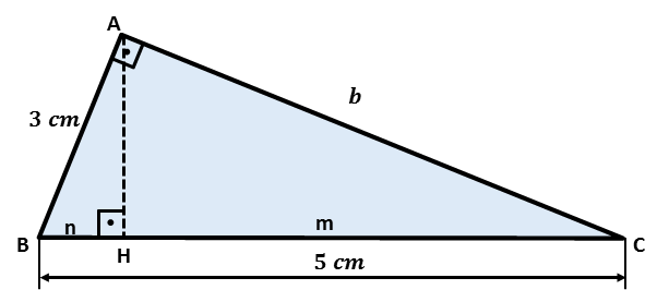 Triângulo Retângulo, o que é? Definição, característica e relações métricas